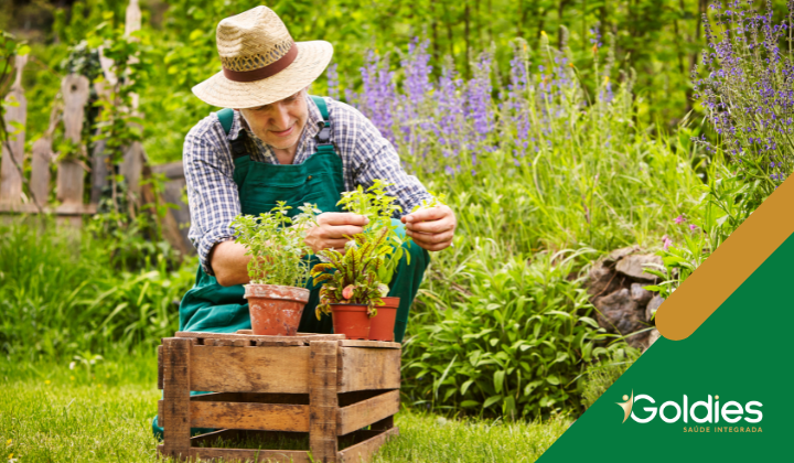 Imagem de idoso cuidando do jardim, ilustrando o artigo "5 Plantas que Estimulam o Cérebro de Pessoas com Alzheimer"