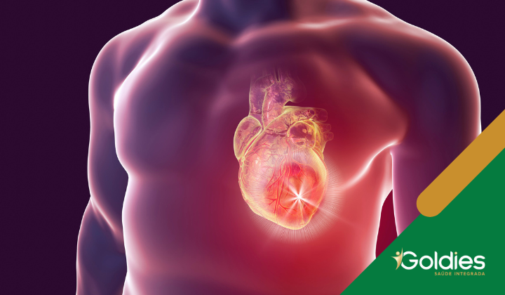 Imagem representativa do sistema cardiovascular humano ilustrando o artigo "Doenças Cardiovasculares em Idosos: Causas, Prevenção e Tratamentos"